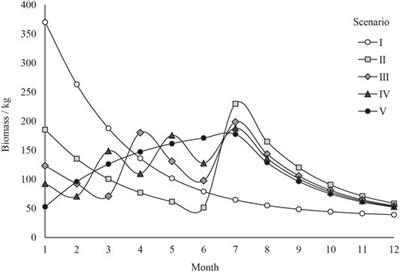 Optimization of a Marine Fish Release Strategy: A Case Study of Black Sea Bream Acanthopagrus schlegelii in the Zhanjiang Estuary, Northern South China Sea